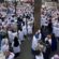 الدار البيضاء، وجدة، گمليم،، بني ملال، طنجة: وقفات احتجاجية ناجحة للمكاتب الجهوية للجامعة الوطنية للصحة