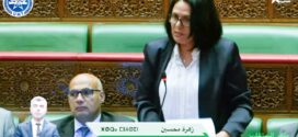 التمكين الاقتصادي للنساء دعامة أساسية لمجتمع المساواة و الكرامة والعدالة الاجتماعية